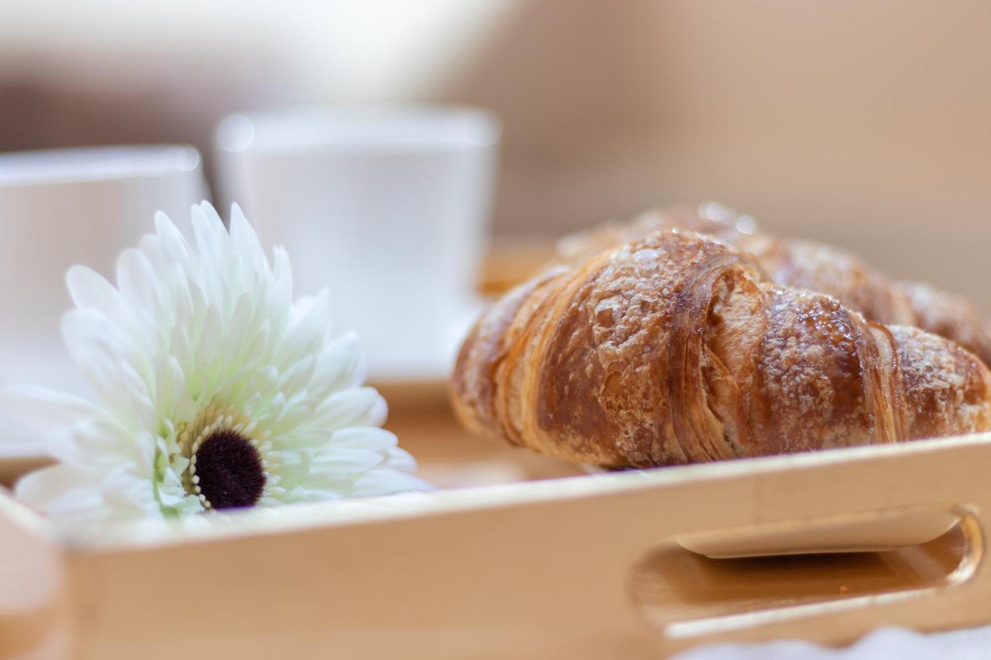 Farm stay Monteborre