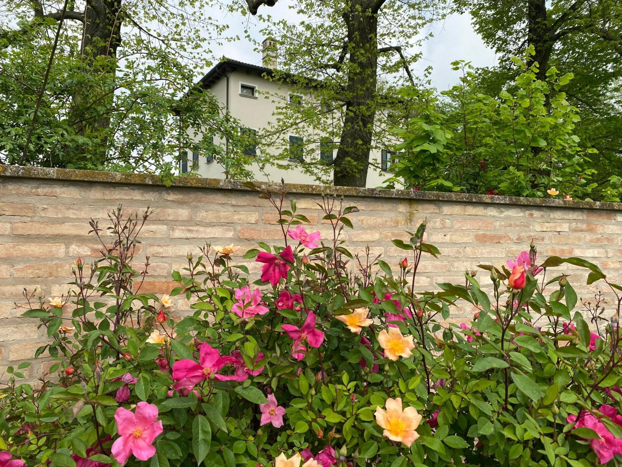 Farm stay Monteborre Cento (Emilia-Romagna)